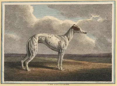 The Greyhound, Samuel Howitt