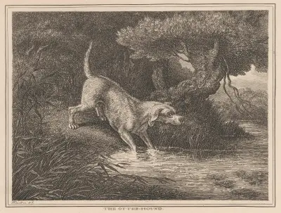 The Otter Hound av Samuel Howitt
