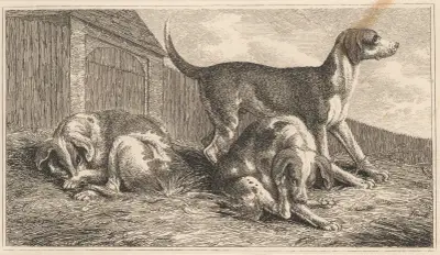Tre hundar av Samuel Howitt
