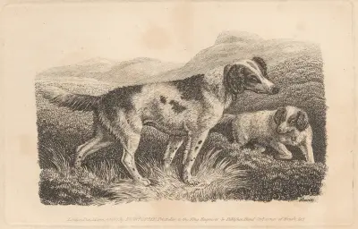 Two Dogs av Samuel Howitt
