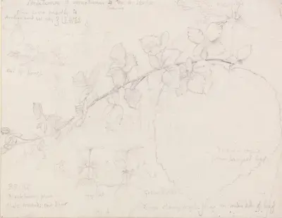 Brambles av Samuel Palmer