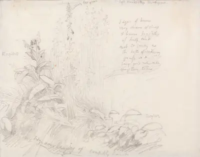 Foxgloves av Samuel Palmer