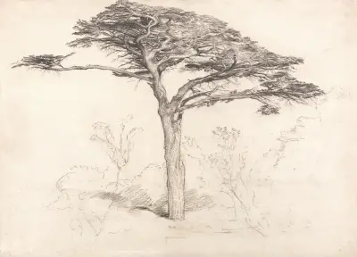 Old Cedar Tree in Botanic Garden, Chelsea av Samuel Palmer