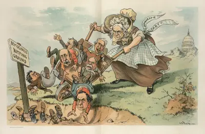 A hint to the Democratic Party av John Samuel Pughe