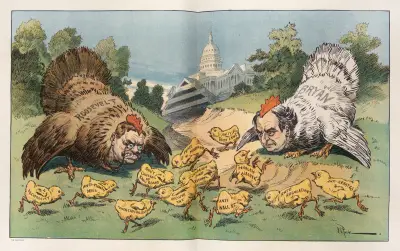 The puzzled chicks av John Samuel Pughe