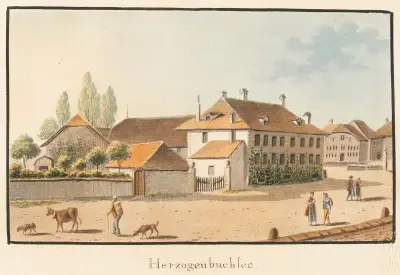 Herzogenbuchsee av Jakob Samuel Weibel