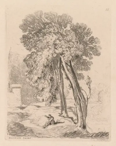 Trees at Norwich Thorp, Norfolk av John Sell Cotman
