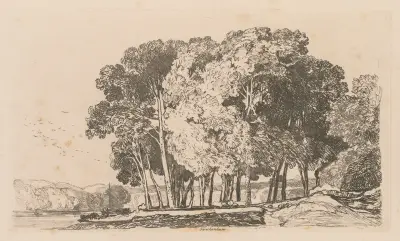 Trees near Twickenham av John Sell Cotman