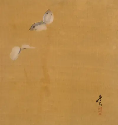 Moths av Shibata Zeshin
