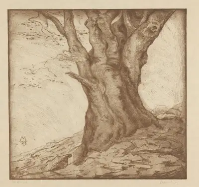 Beukenstam von Simon Moulijn