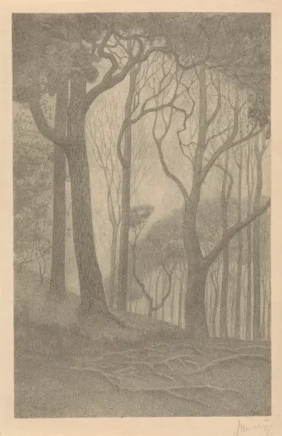 Bomen av Simon Moulijn