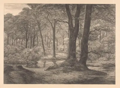 Gezicht op de Hunnenschans op de Veluwe De hunnenschans av Simon Moulijn