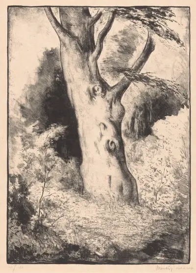 Stam van een beukenboom von Simon Moulijn