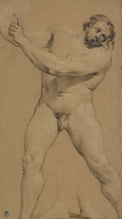 Study of a Male Nude av Simon Vouet