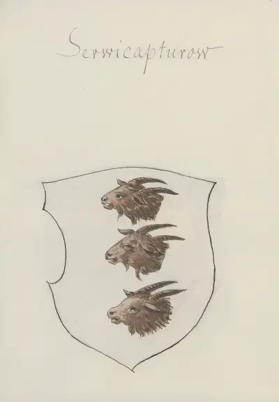 Arma Regni et baronum Poloniae ac M. D. Lithuaniae Pl. 060 von Boleslaw Starzyński