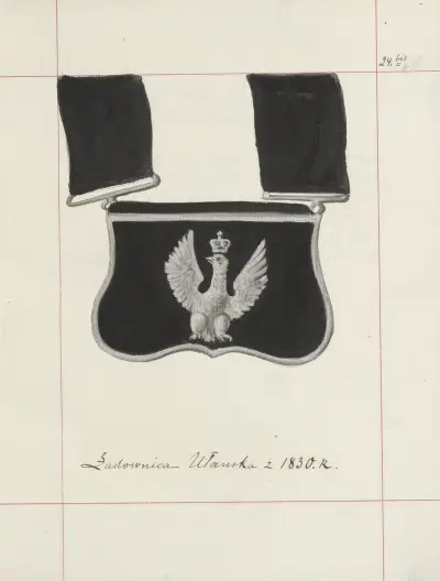 Broń zaczepna i odporna w Polsce. T. 3, Rynsztunki, broń palna, rzędy Pl.019, Boleslaw Starzyński