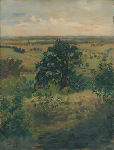 Blick auf Šúr Štefan von Štefan Polkoráb