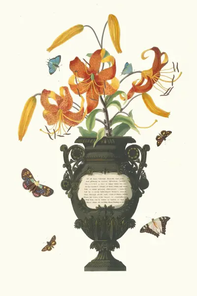 Lilium Tigrinum av Priscilla Susan Bury