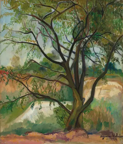 Der Baum von Suzanne Valadon