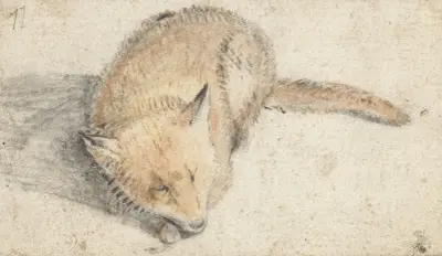 Sovande räv av Gerard ter Borch