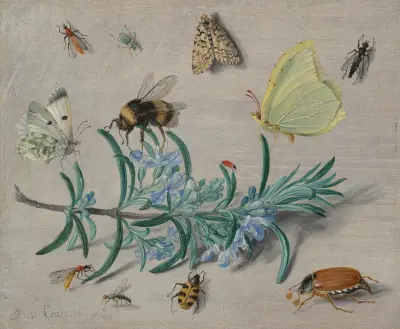 Insects and a Sprig of Rosemary av Jan Van Kessel The Elder