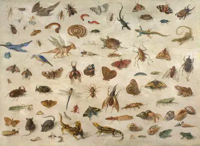Insects, batrachians, shells and mouses av Jan Van Kessel The Elder