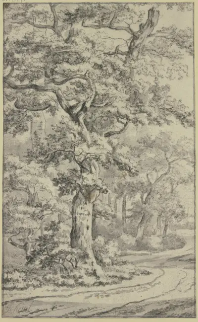 Path next to oak trees av Jan Van Kessel The Elder