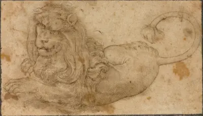 Study of a Lion av Lucas Cranach the Elder