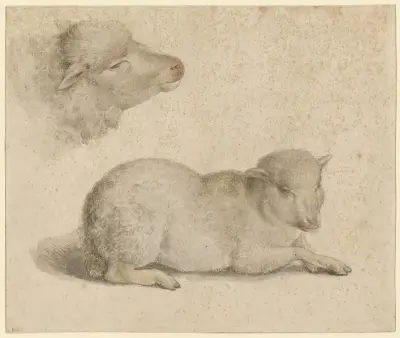 Ruhendes Lamm und Kopf eines Lammes av Hans Holbein The Younger