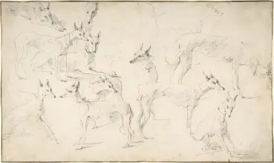 Hundestudien von David Teniers The Younger