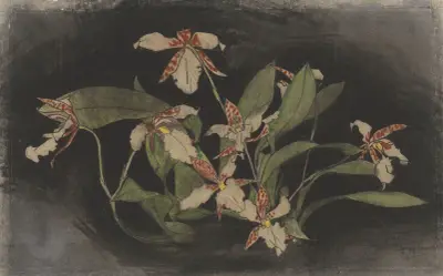 Kvetoucí větev orchideje, Theo Nieuwenhuis