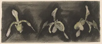 Tři orchideje, Theo Nieuwenhuis