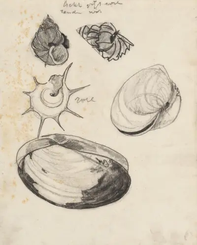 Studie listů s mušlemi, 1876 – č. 1, Theo Nieuwenhuis