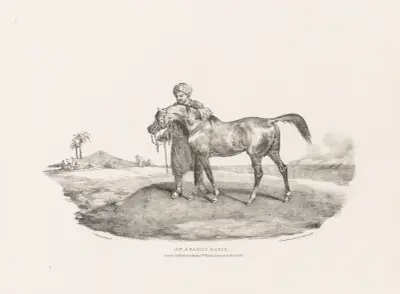 An Arabian Horse av Théodore Géricault