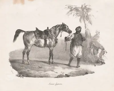 Egyptian Mare av Théodore Géricault