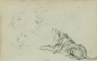 Fyra lejonstudier av Théodore Géricault
