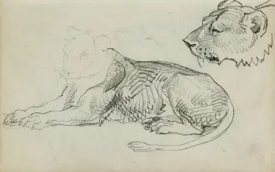 Seated lion, head of lioness von Théodore Géricault