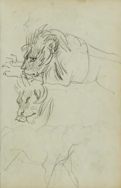 Tre lejonstudier av Théodore Géricault