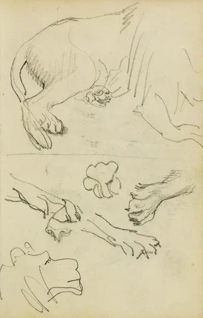 Studier av lejonben, tassar och huvud av Théodore Géricault