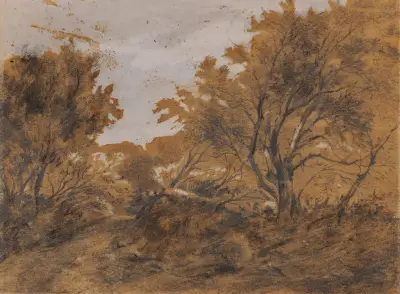 Paysage boisé, coup de vent av Théodore Rousseau