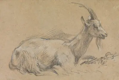 Study of a Goat av Thomas Gainsborough