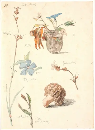 Studieblad med blomster og planter av Johan Thomas Lundbye