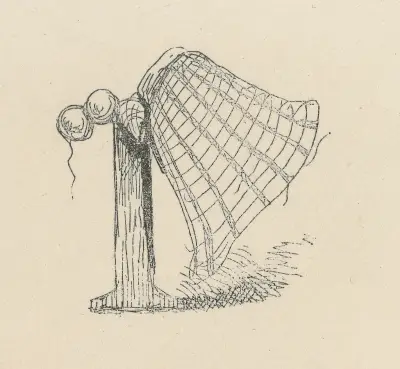 Krinolinräcke av Thomas Nast