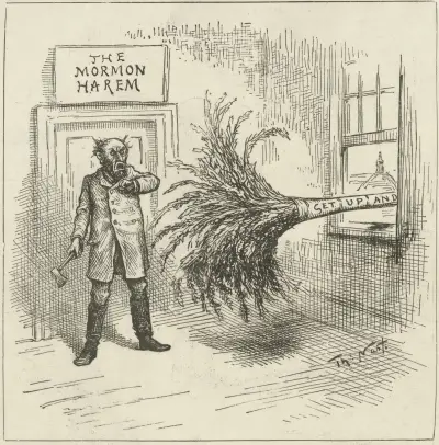 The house that needs dusting very much av Thomas Nast