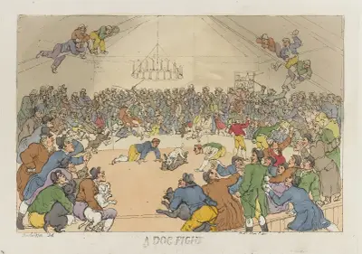 A dog fight, Thomas Rowlandson