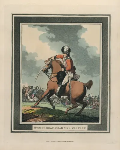 Hästhuvud, närbild, skydd av Thomas Rowlandson