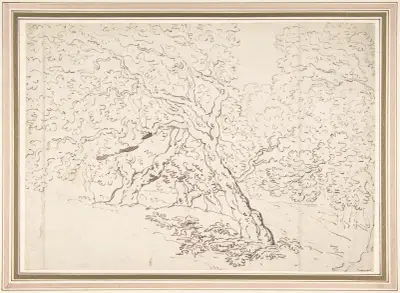 Study of trees, Thomas Rowlandson