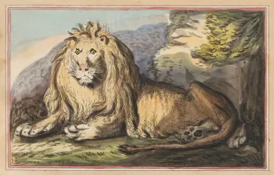 The Lion av Thomas Rowlandson
