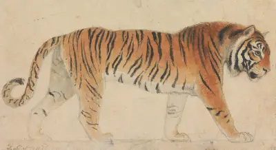 Ein Tiger von Thomas Stothard