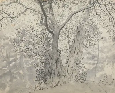 Tree Study av Thomas Stothard